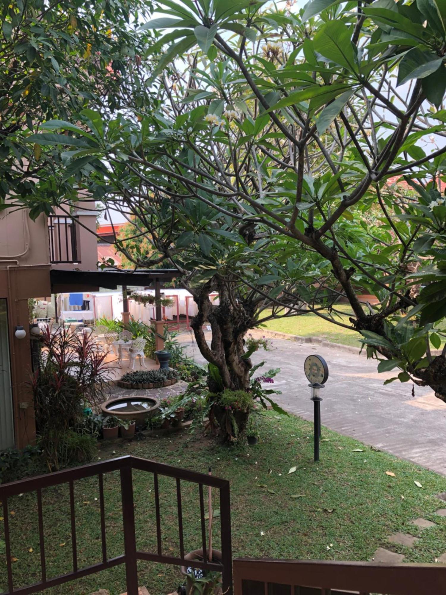 程逸阿里纳度假村和酒店 程逸府 外观 照片